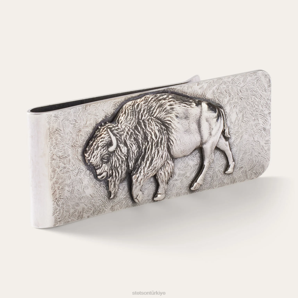 Stetson amerikan mandası para klibi som gümüş erkekler aksesuar B4FZ418