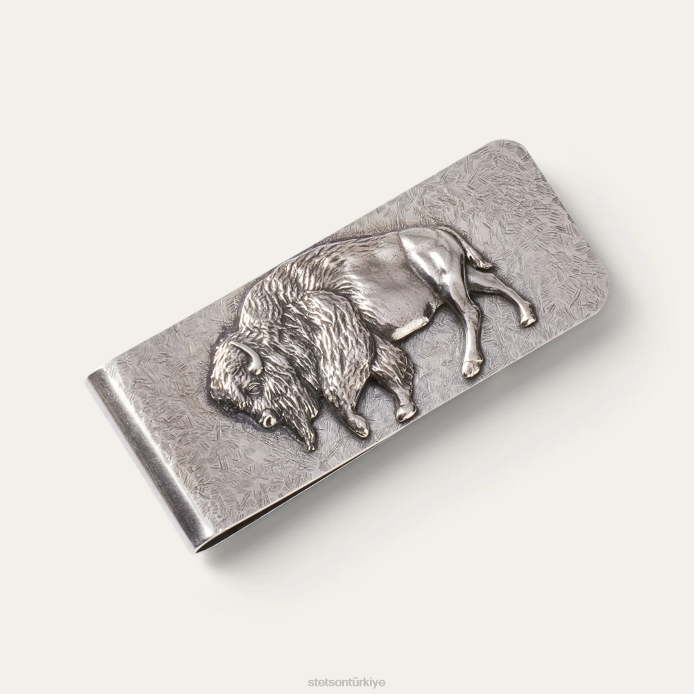 Stetson amerikan mandası para klibi som gümüş erkekler aksesuar B4FZ418