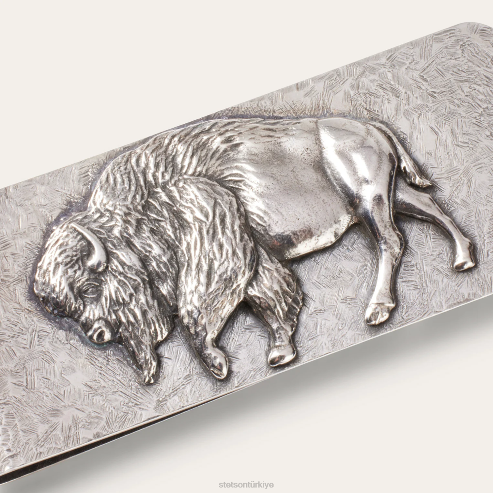 Stetson amerikan mandası para klibi som gümüş erkekler aksesuar B4FZ418