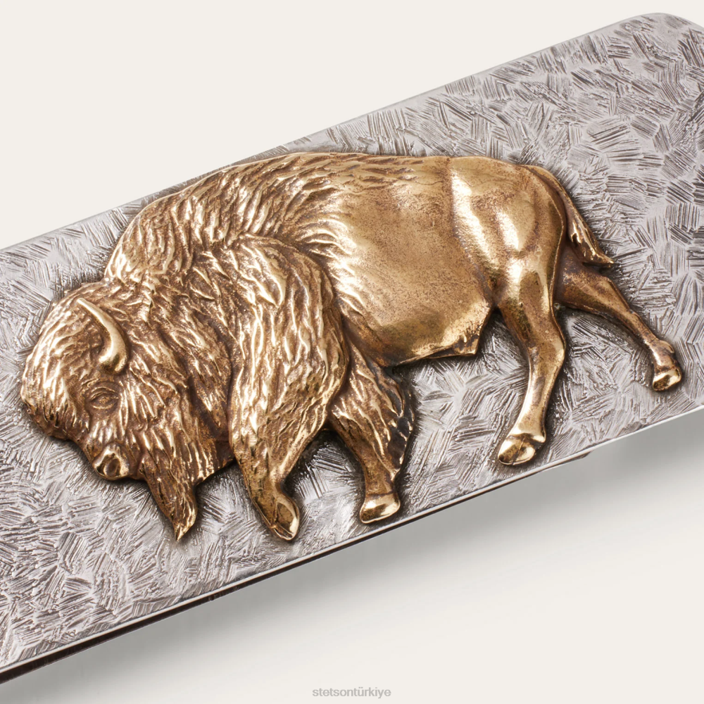 Stetson amerikan mandası para klibi som gümüş/pirinç erkekler aksesuar B4FZ415