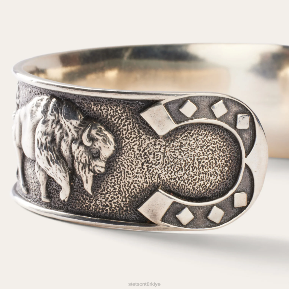 Stetson güneybatı manşeti gri erkekler aksesuar B4FZ419