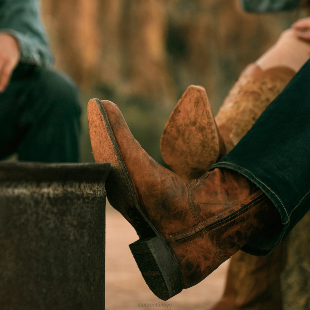 Stetson çiftlik sahibi zip bronzluk erkekler ayakkabı B4FZ218