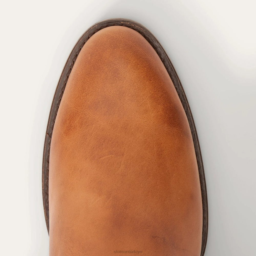 Stetson çiftlik sahibi zip kahverengi erkekler ayakkabı B4FZ226