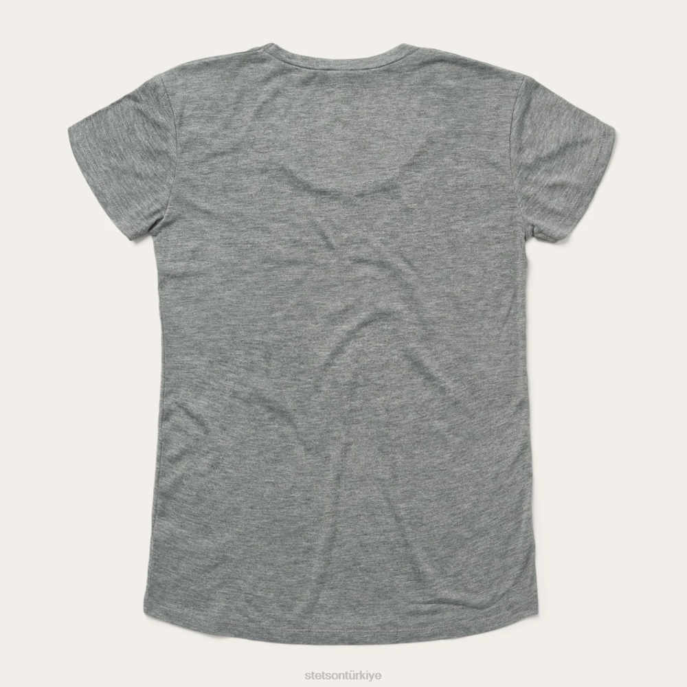 Stetson gün batımı grafikli tişört gri kadınlar giyim B4FZ470