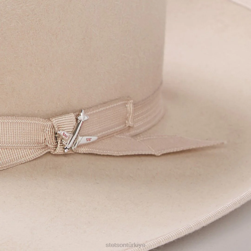 Stetson stratoliner fötr şapka gümüş göbek üniseks şapkalar B4FZ37