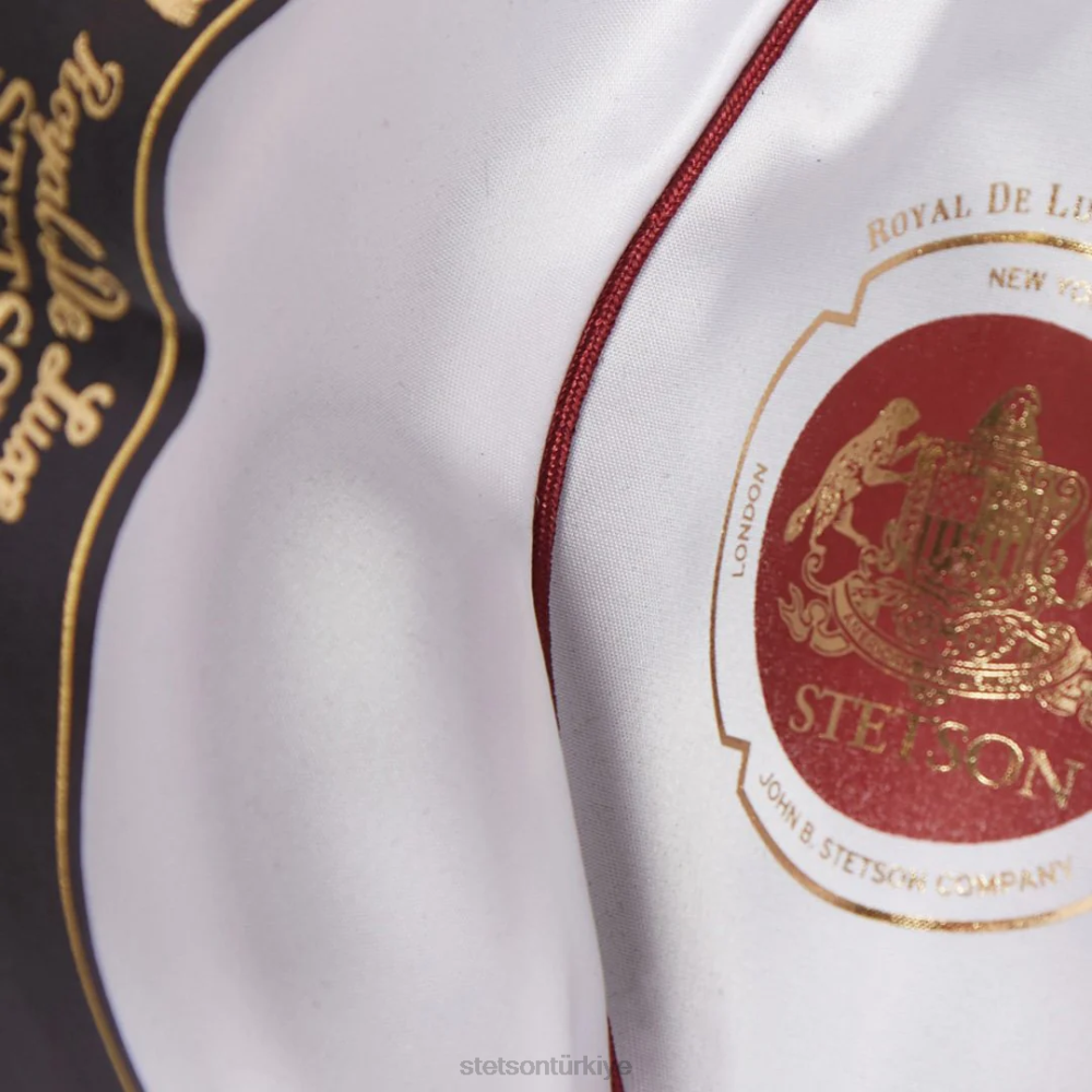 Stetson tapınak fötr şapka vizon üniseks şapkalar B4FZ95