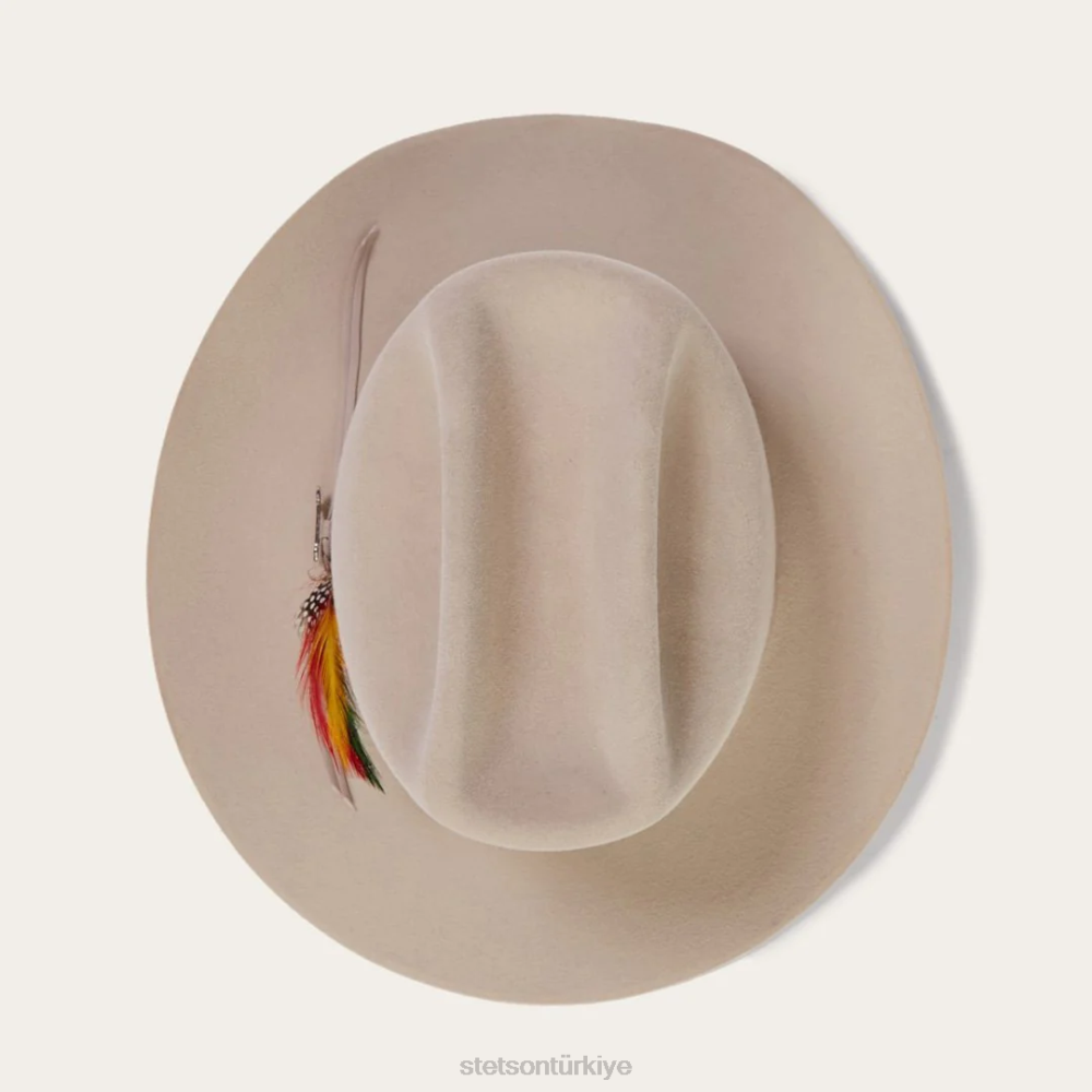Stetson aralık 6x kovboy şapkası gümüş göbek üniseks şapkalar B4FZ77