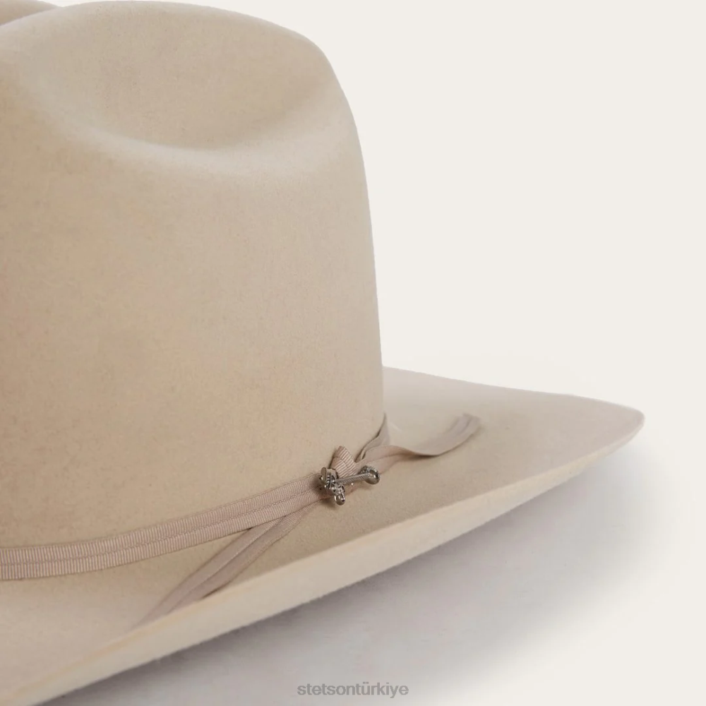 Stetson aralık 6x kovboy şapkası gümüş göbek üniseks şapkalar B4FZ77