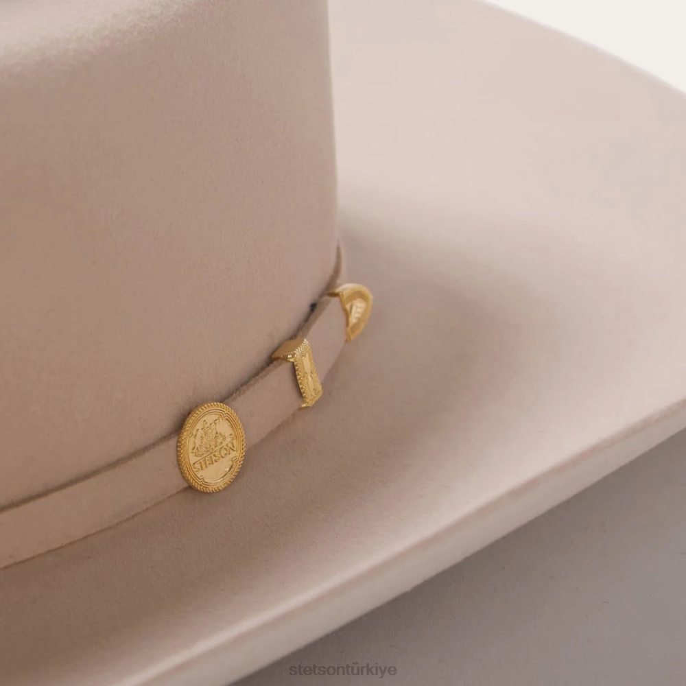 Stetson el Presidente 100x premier kovboy şapkası gümüş göbek üniseks şapkalar B4FZ2