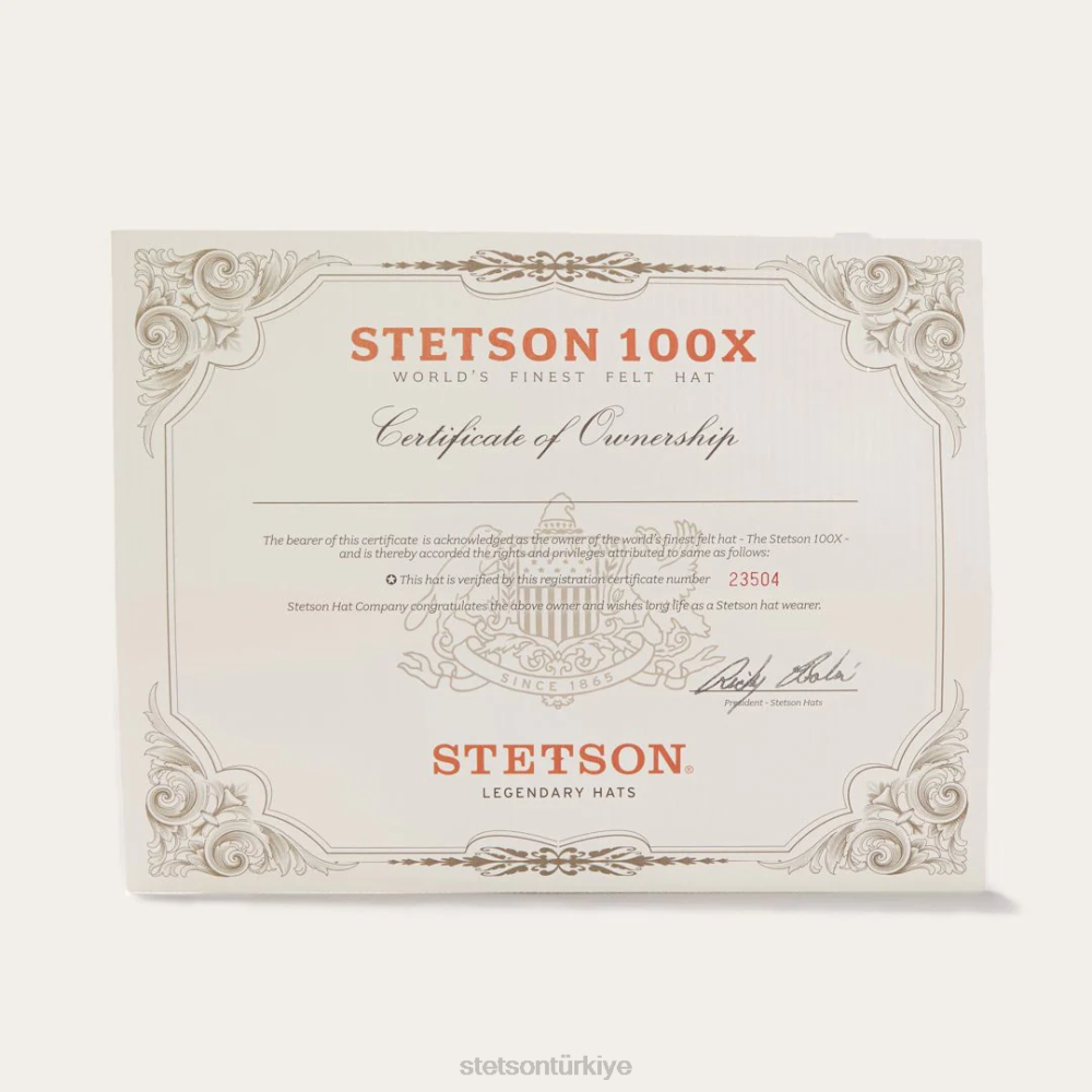 Stetson el Presidente 100x premier kovboy şapkası gümüş göbek üniseks şapkalar B4FZ2