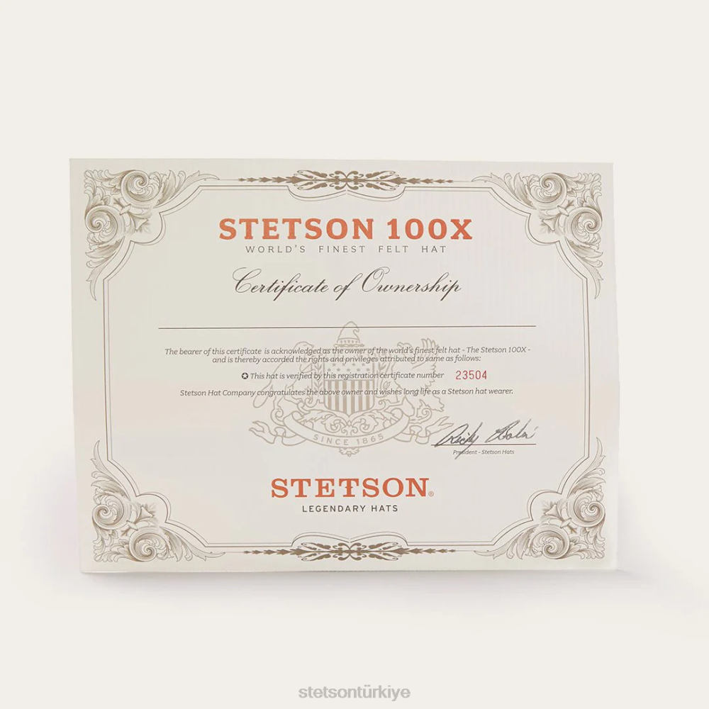 Stetson el Presidente 100x premier kovboy şapkası siyah üniseks şapkalar B4FZ70