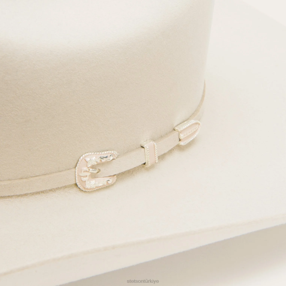 Stetson manzarası 6x kovboy şapkası gümüş göbek üniseks şapkalar B4FZ5