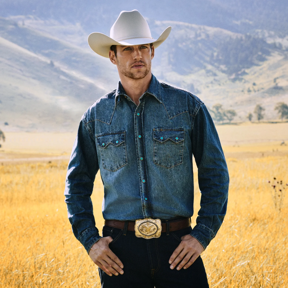 Stetson manzarası 6x kovboy şapkası gümüş göbek üniseks şapkalar B4FZ5