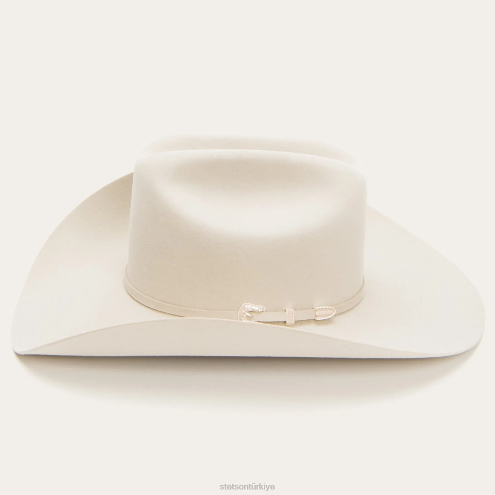 Stetson manzarası 6x kovboy şapkası gümüş göbek üniseks şapkalar B4FZ5
