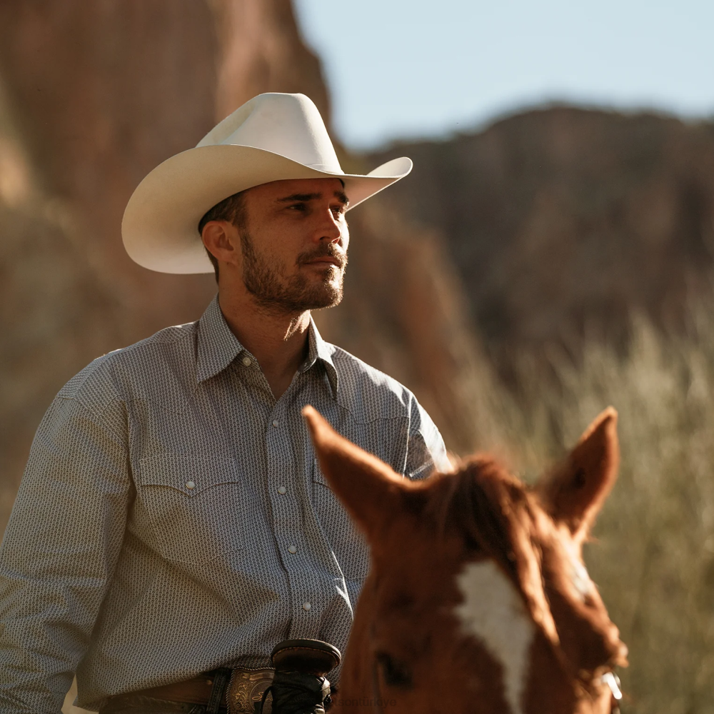 Stetson shasta 10x birinci sınıf kovboy şapkası beyaz üniseks şapkalar B4FZ68