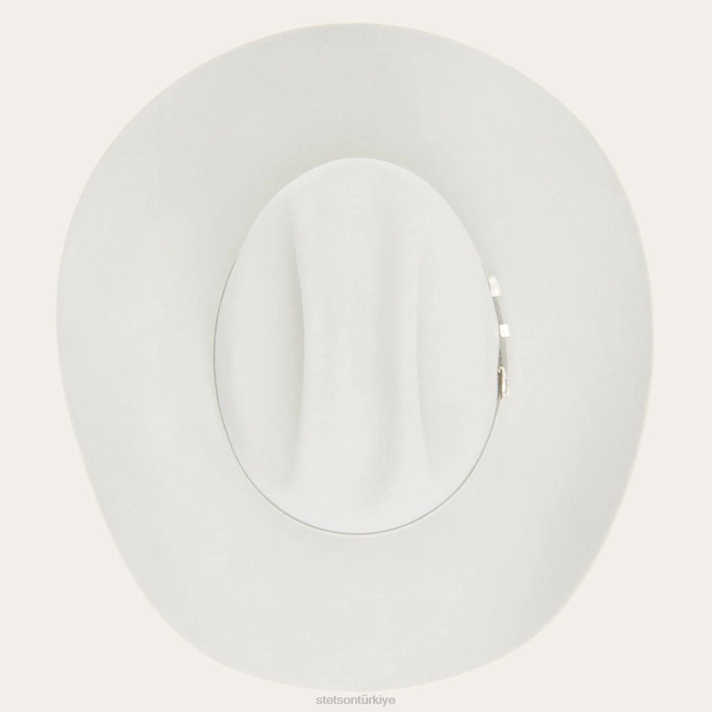 Stetson shasta 10x birinci sınıf kovboy şapkası sis grisi üniseks şapkalar B4FZ4