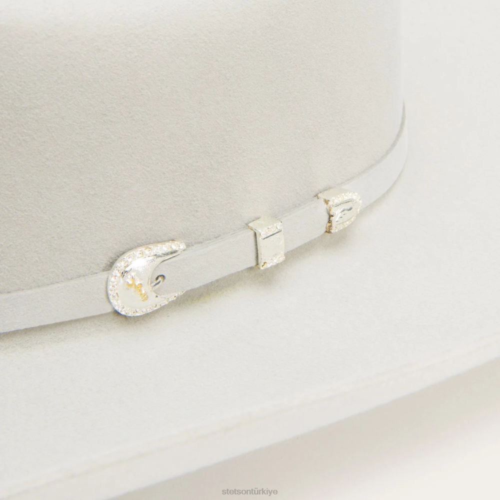 Stetson shasta 10x birinci sınıf kovboy şapkası sis grisi üniseks şapkalar B4FZ4